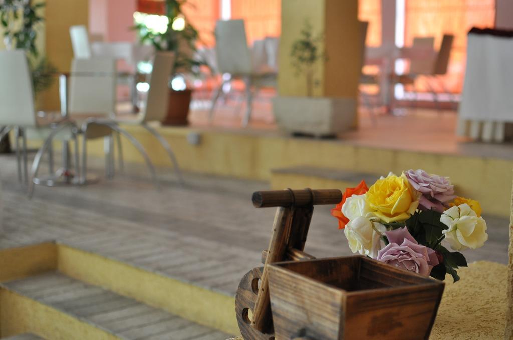 Theranda Boutique Hotel Tiranë Luaran gambar